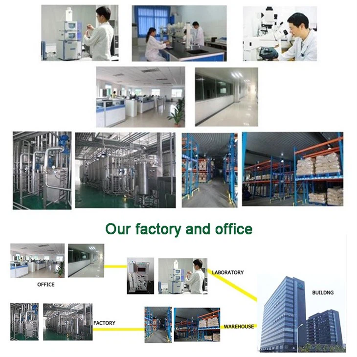 Lion’s Mane Extract factory