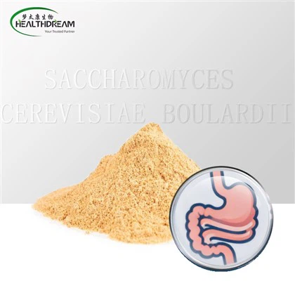 Saccharomyces Cerevisiae Boulardii